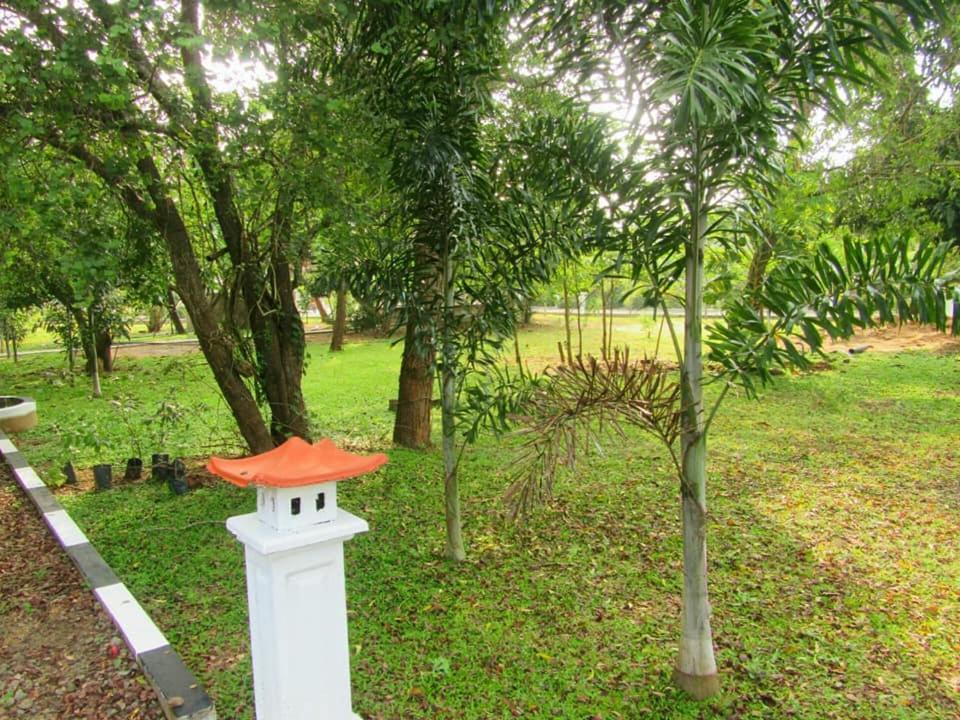Hotel Tree Garden Wilpaththu Nochchiyagma Anuradhapura Nochchiyagama エクステリア 写真