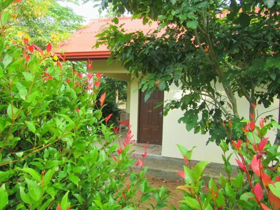 Hotel Tree Garden Wilpaththu Nochchiyagma Anuradhapura Nochchiyagama エクステリア 写真