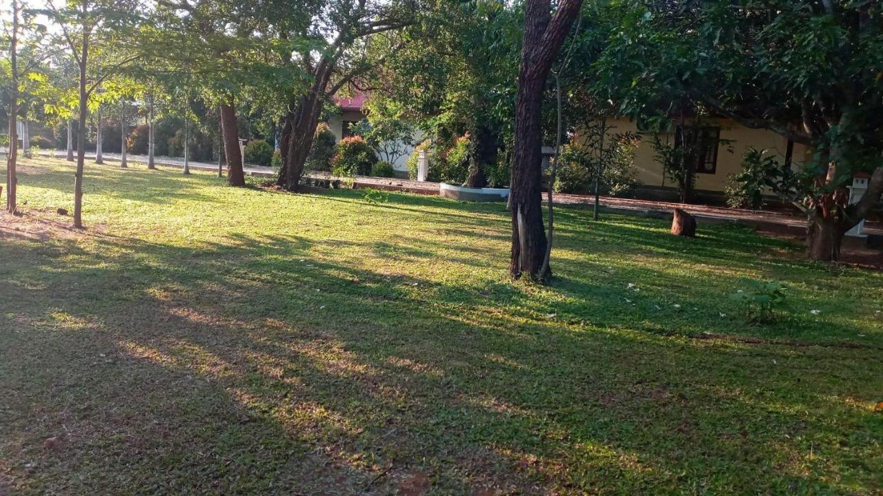Hotel Tree Garden Wilpaththu Nochchiyagma Anuradhapura Nochchiyagama エクステリア 写真