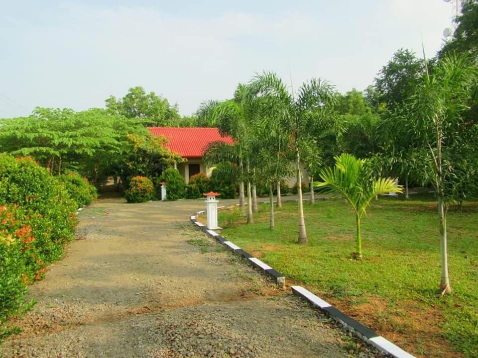 Hotel Tree Garden Wilpaththu Nochchiyagma Anuradhapura Nochchiyagama エクステリア 写真