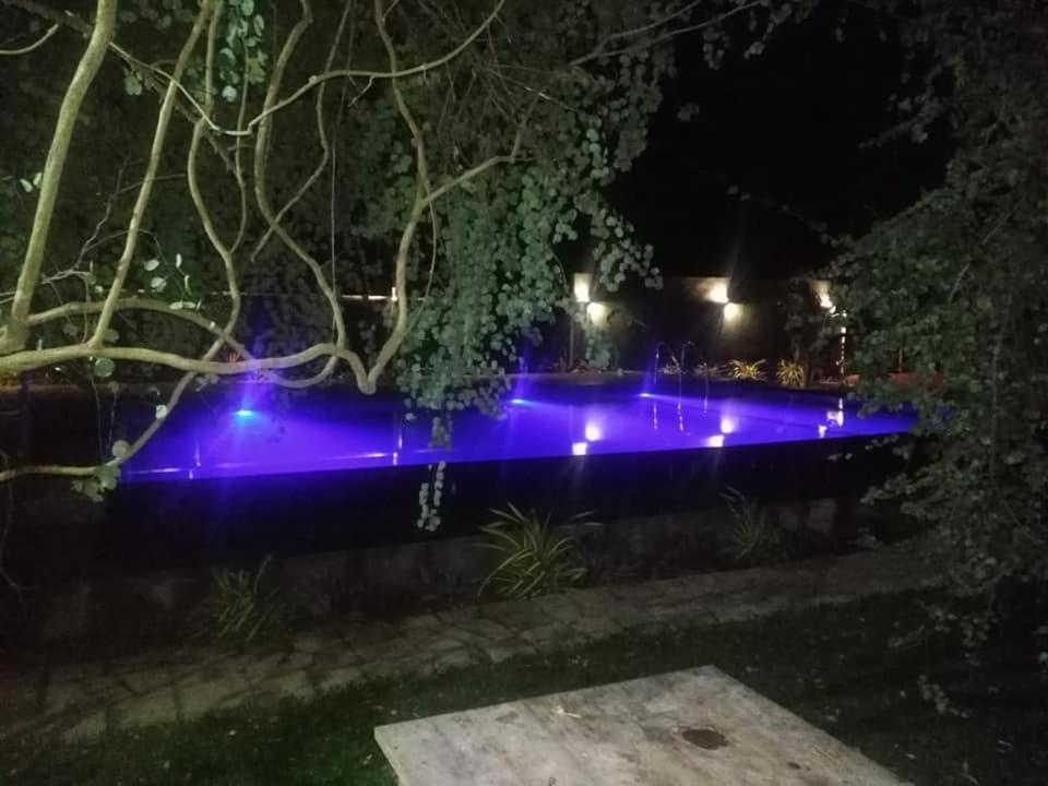 Hotel Tree Garden Wilpaththu Nochchiyagma Anuradhapura Nochchiyagama エクステリア 写真