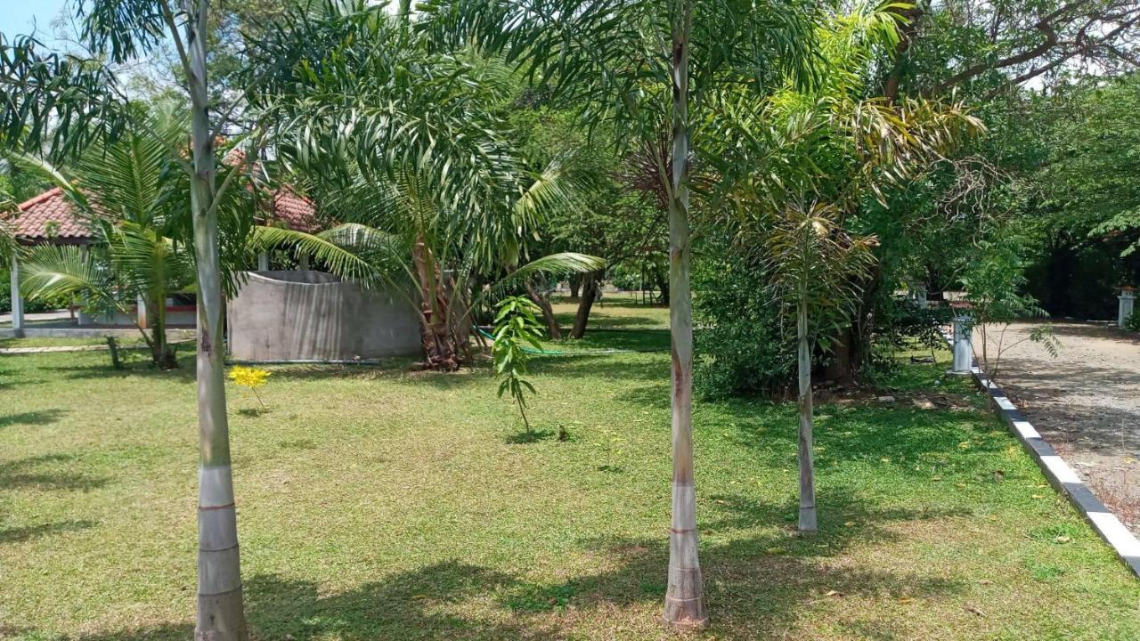 Hotel Tree Garden Wilpaththu Nochchiyagma Anuradhapura Nochchiyagama エクステリア 写真