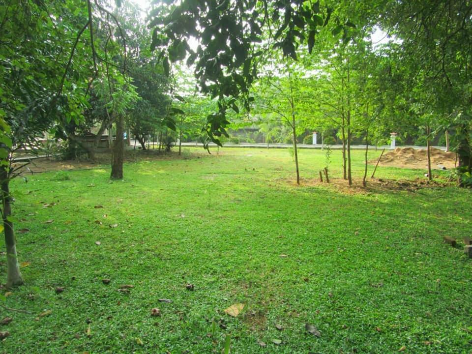 Hotel Tree Garden Wilpaththu Nochchiyagma Anuradhapura Nochchiyagama エクステリア 写真