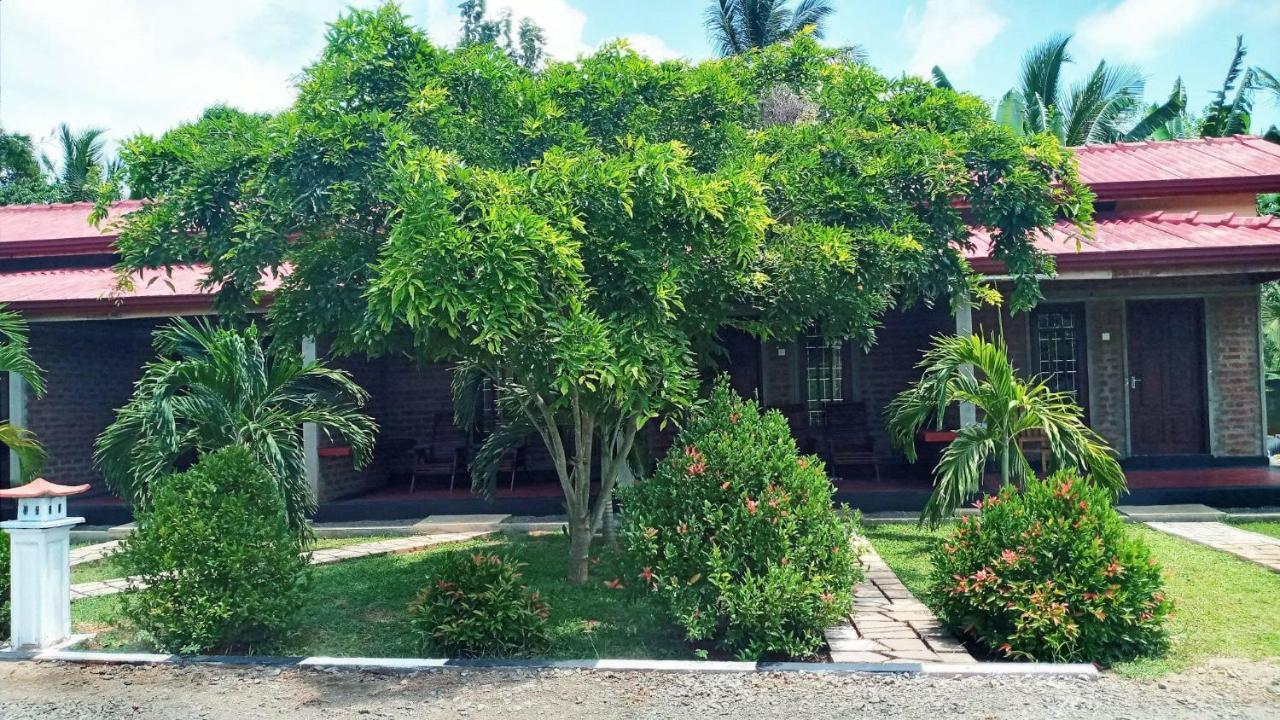 Hotel Tree Garden Wilpaththu Nochchiyagma Anuradhapura Nochchiyagama エクステリア 写真