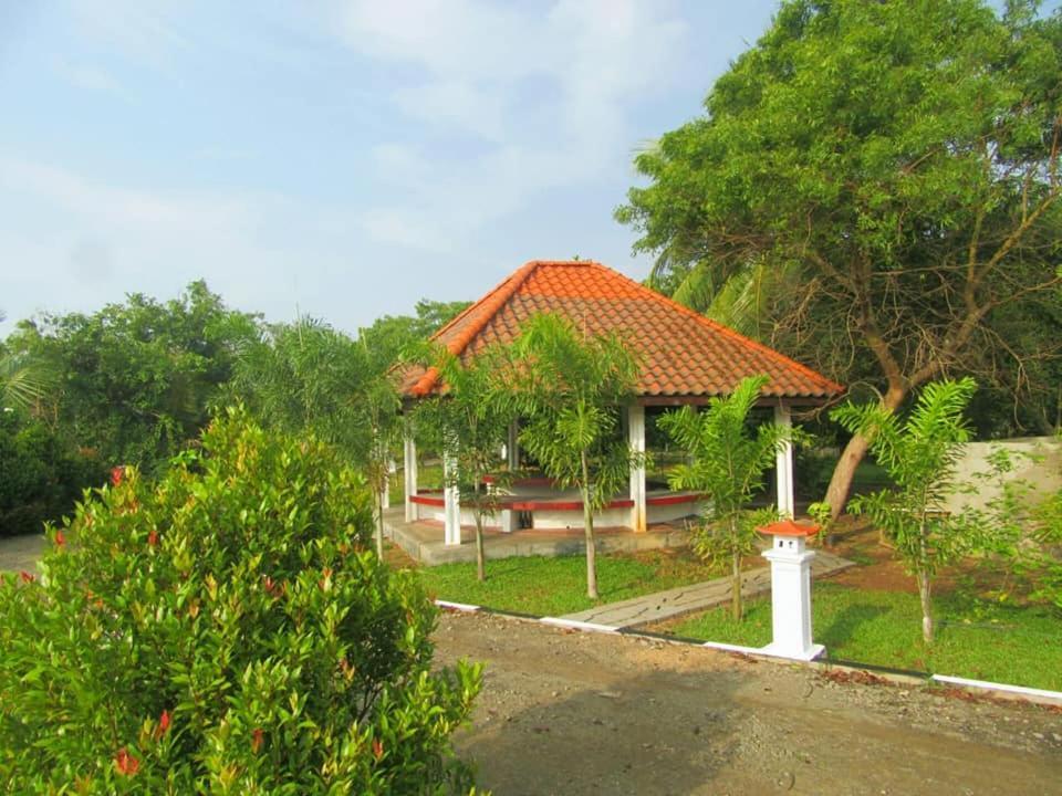 Hotel Tree Garden Wilpaththu Nochchiyagma Anuradhapura Nochchiyagama エクステリア 写真