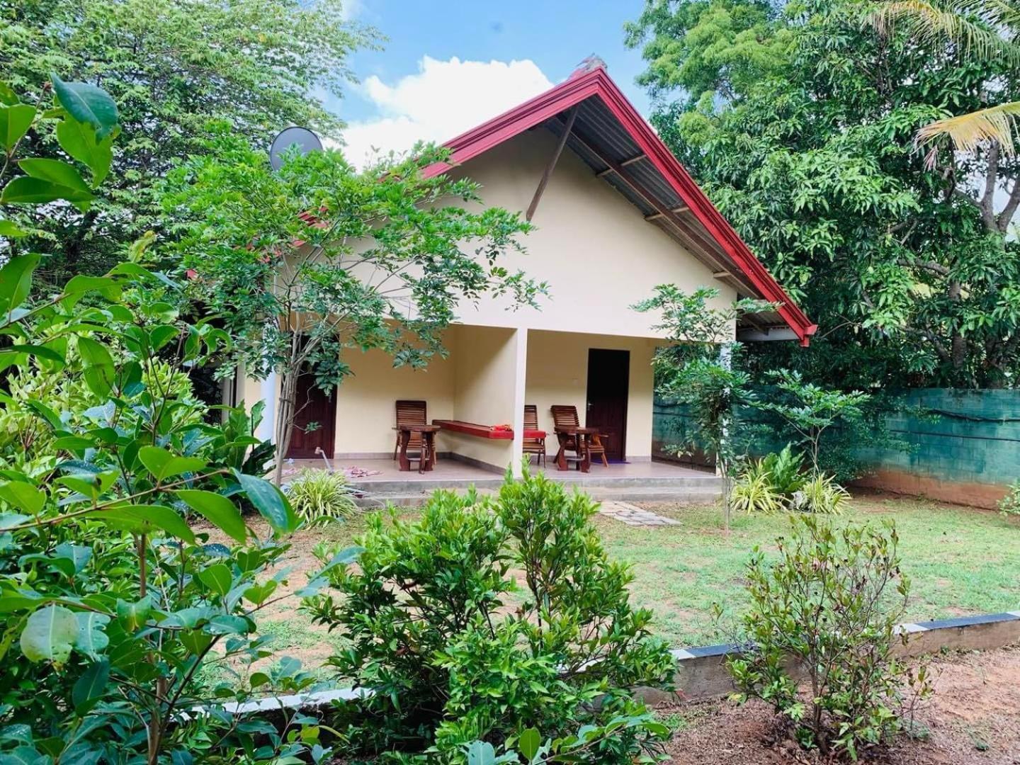 Hotel Tree Garden Wilpaththu Nochchiyagma Anuradhapura Nochchiyagama エクステリア 写真