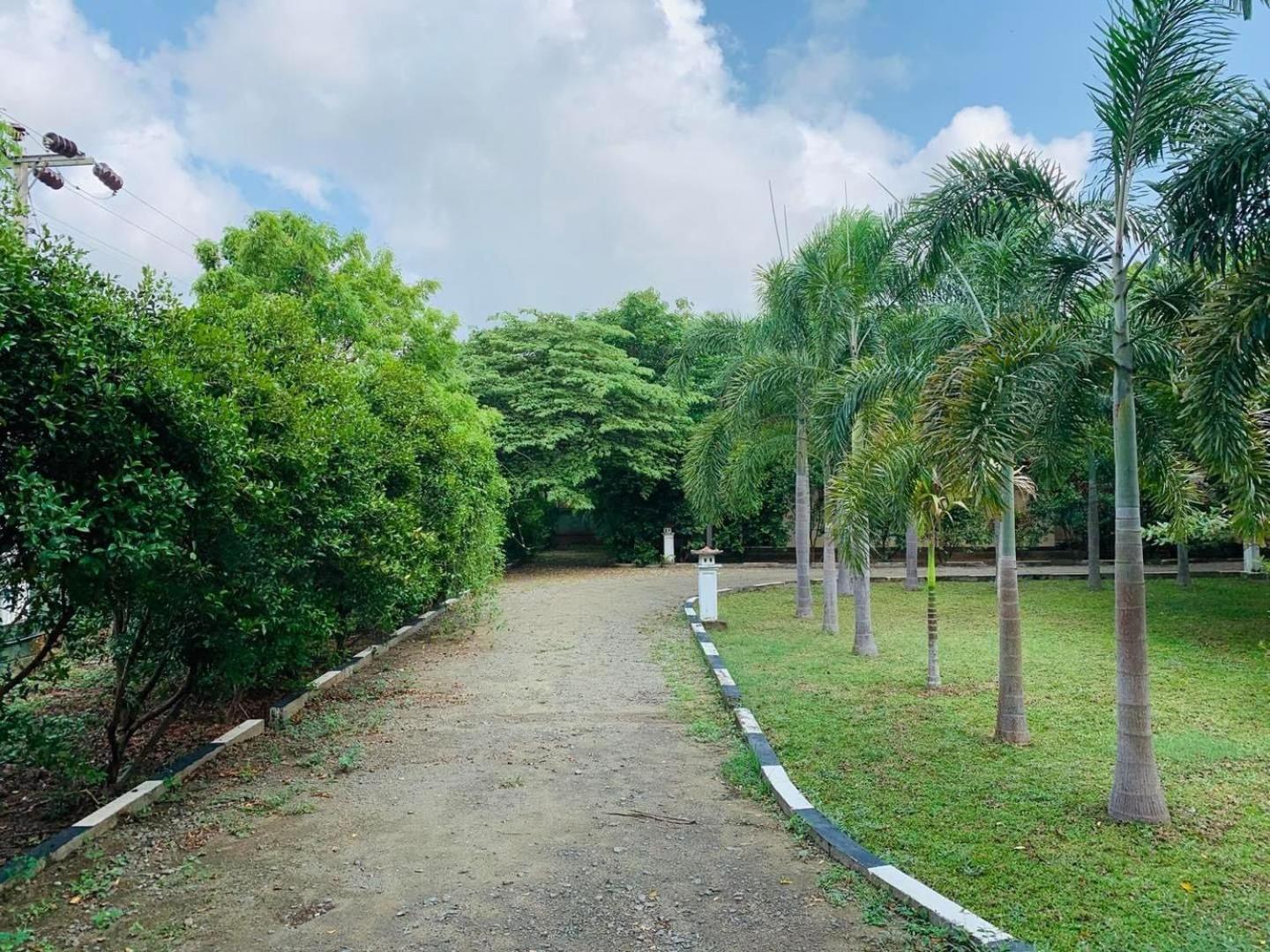 Hotel Tree Garden Wilpaththu Nochchiyagma Anuradhapura Nochchiyagama エクステリア 写真