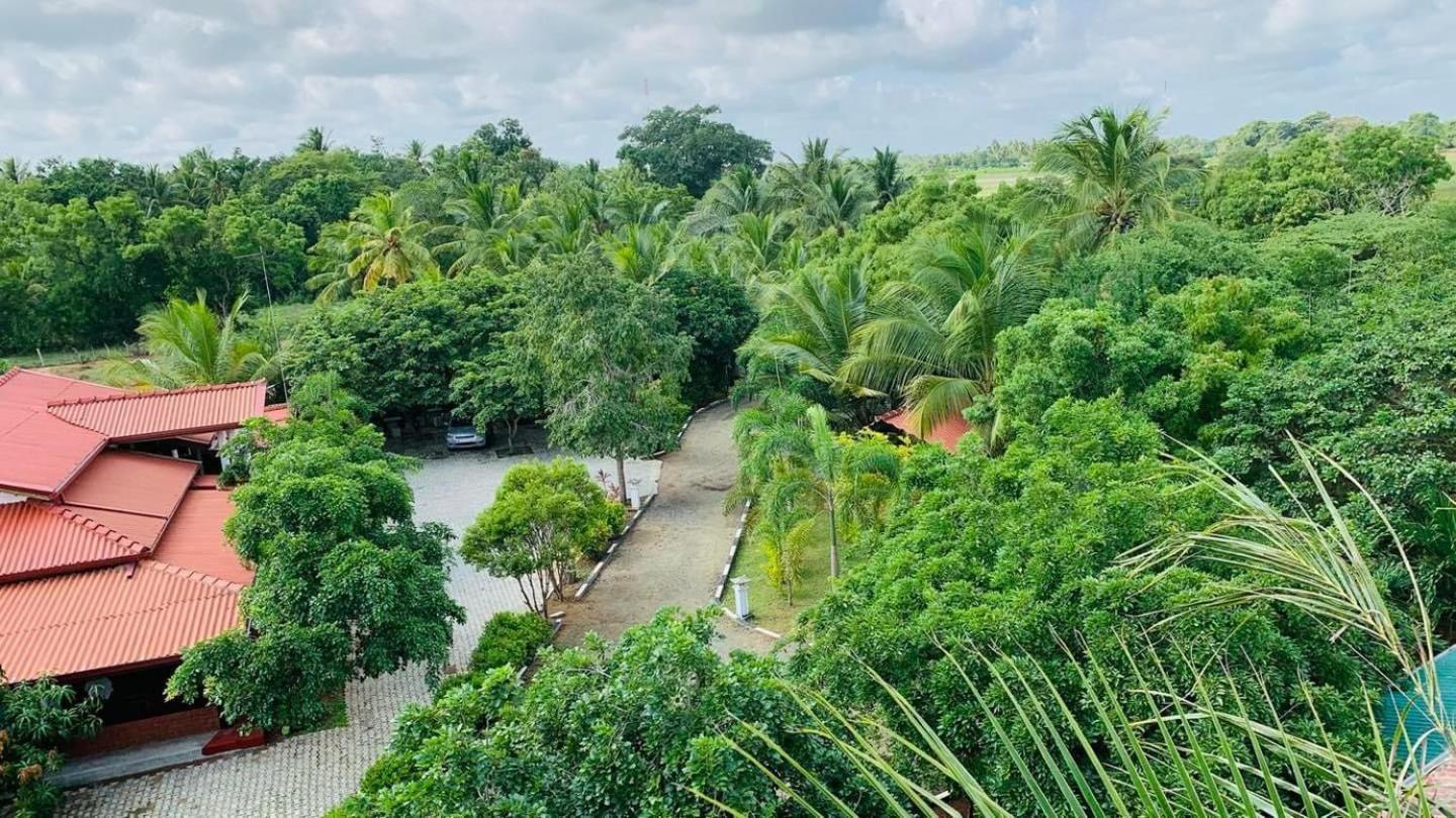 Hotel Tree Garden Wilpaththu Nochchiyagma Anuradhapura Nochchiyagama エクステリア 写真