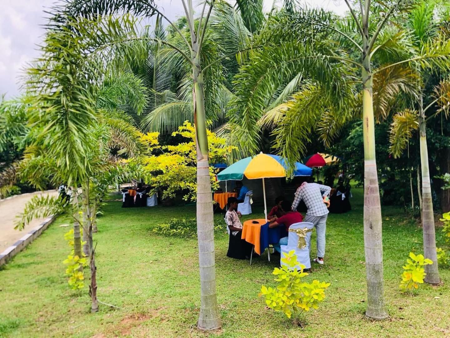 Hotel Tree Garden Wilpaththu Nochchiyagma Anuradhapura Nochchiyagama エクステリア 写真