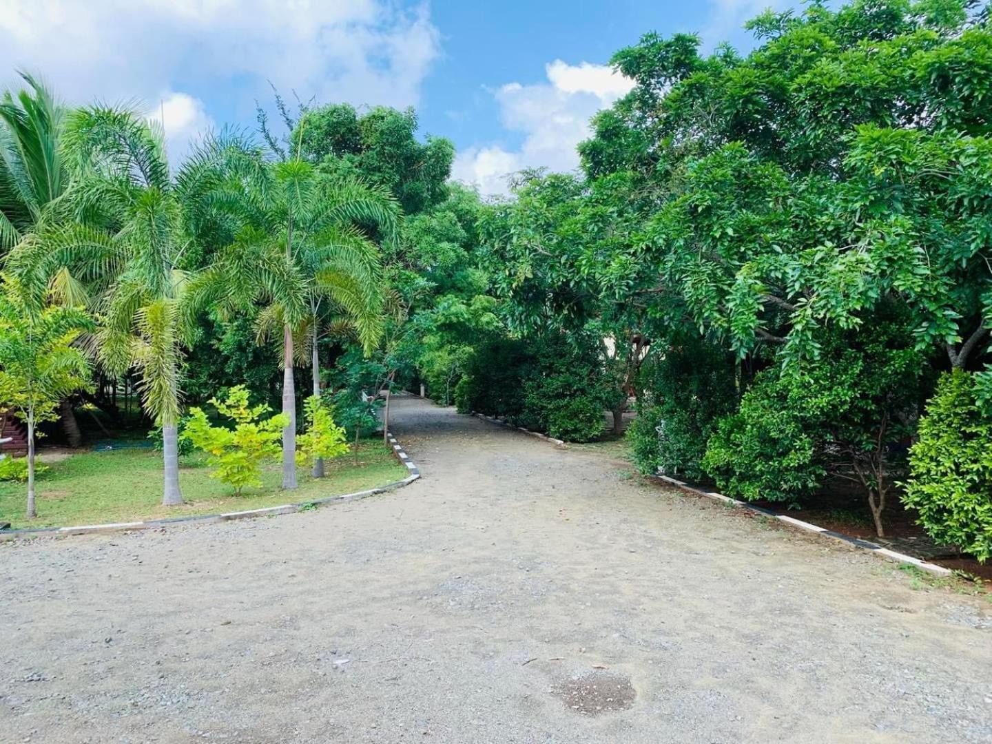 Hotel Tree Garden Wilpaththu Nochchiyagma Anuradhapura Nochchiyagama エクステリア 写真