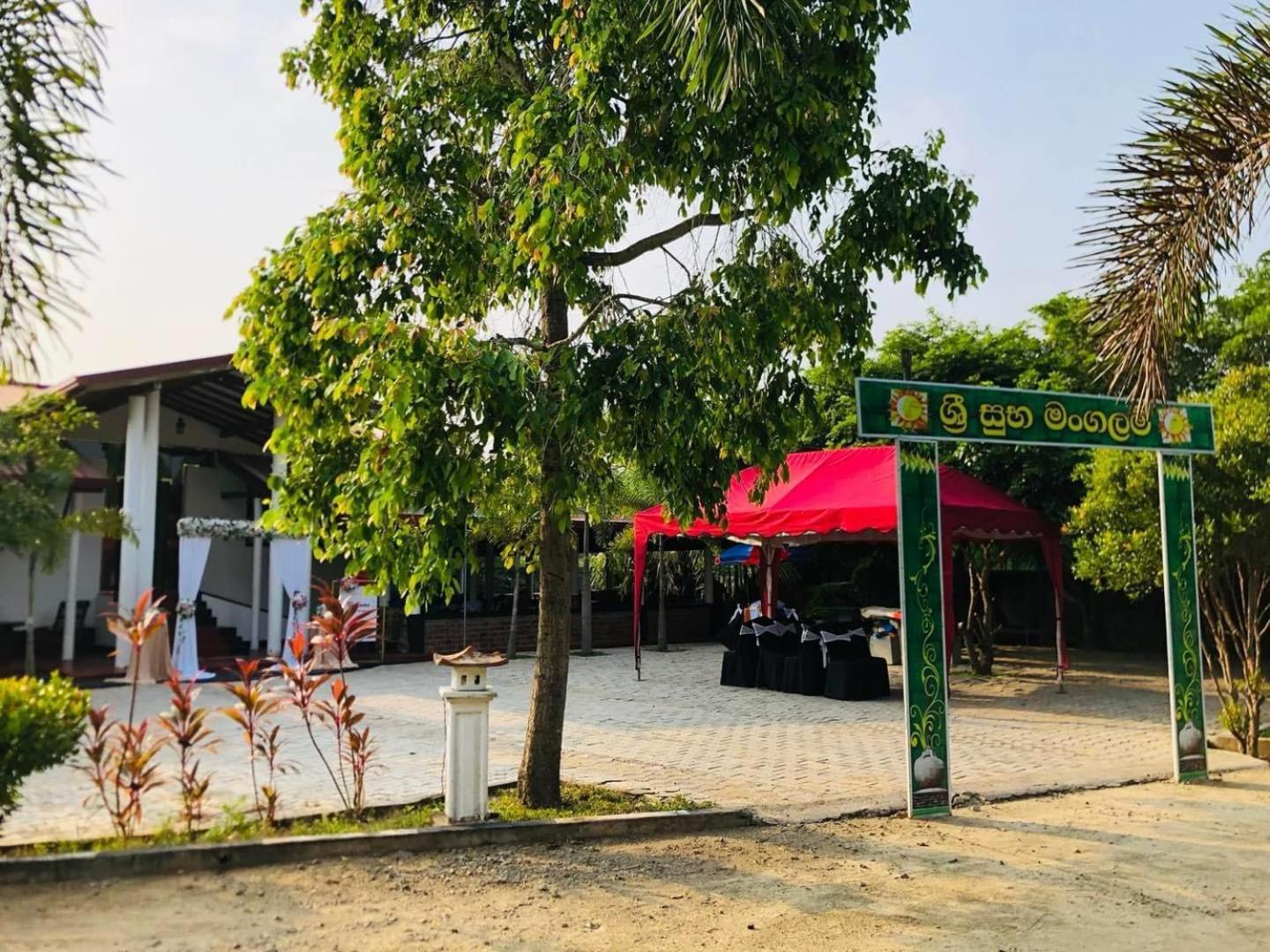 Hotel Tree Garden Wilpaththu Nochchiyagma Anuradhapura Nochchiyagama エクステリア 写真
