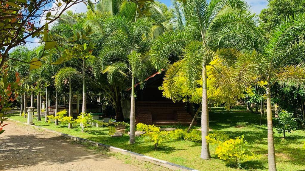 Hotel Tree Garden Wilpaththu Nochchiyagma Anuradhapura Nochchiyagama エクステリア 写真