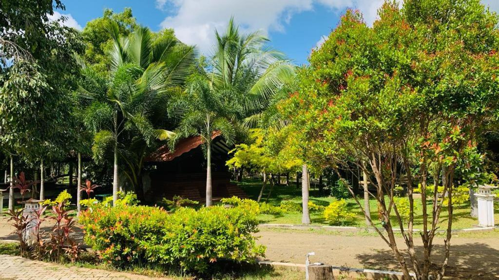 Hotel Tree Garden Wilpaththu Nochchiyagma Anuradhapura Nochchiyagama エクステリア 写真